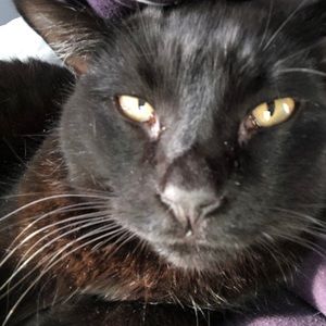 Meet your Posher, Erin